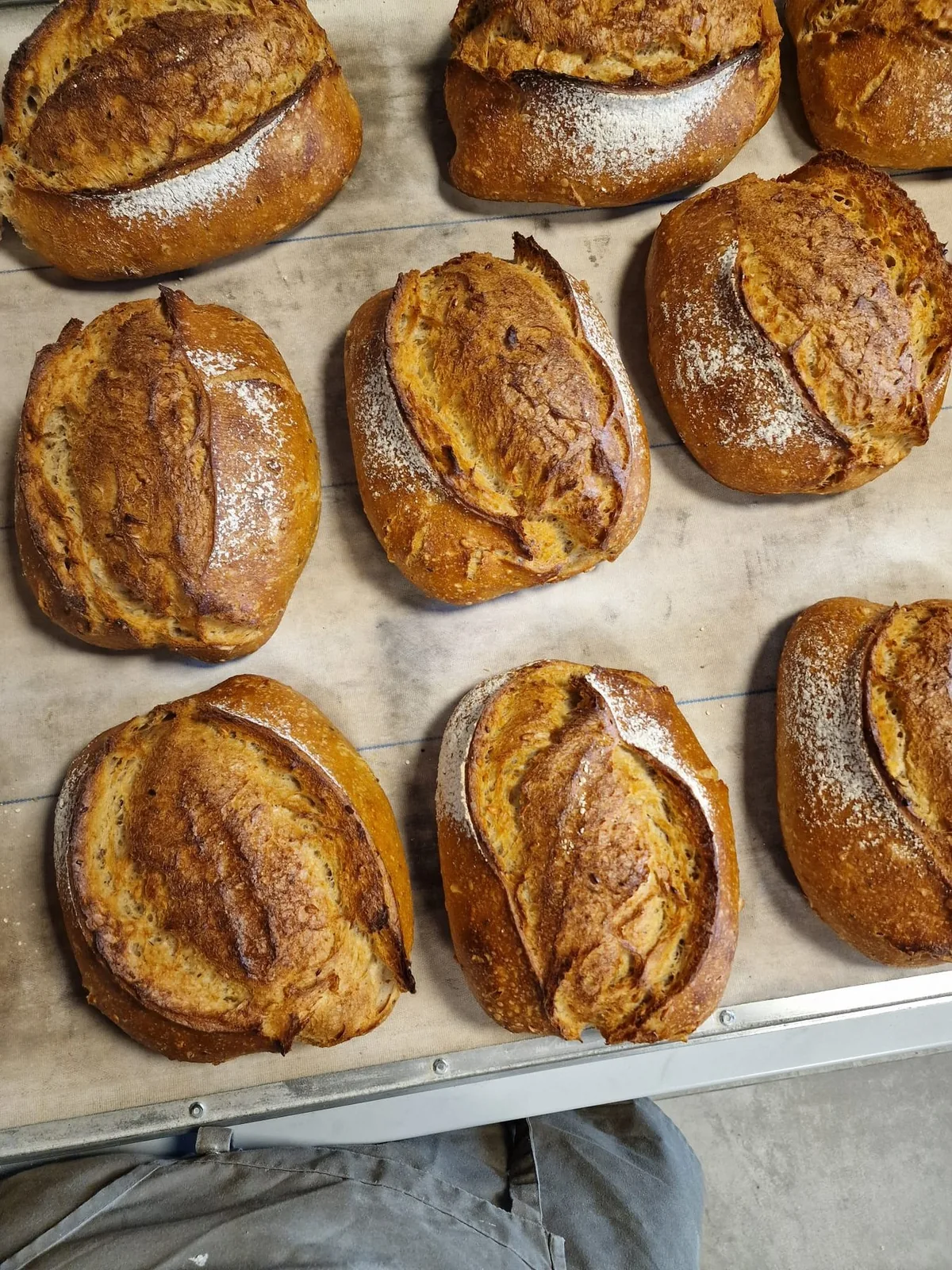 Pains au levain tout juste sortis de production, vus depuis le poste du boulanger